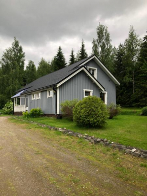 Pakola Viitasaari